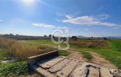 Foça Gerenköy'de Kemal Atatürk mah. Paylı Mülkiyet Tapulu Tarla