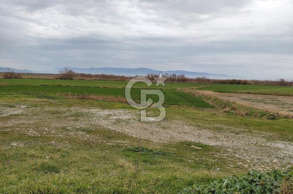 Foça Gerenköy'de Yola Cepheli Tarla Fırsatı !