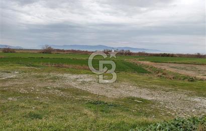 Foça Gerenköy'de Yola Cepheli Tarla Fırsatı !