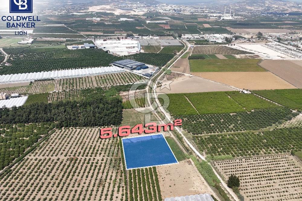 Mersin Akdeniz Evci Mahallesinde 5643 m2 Yatırımlık Arazi