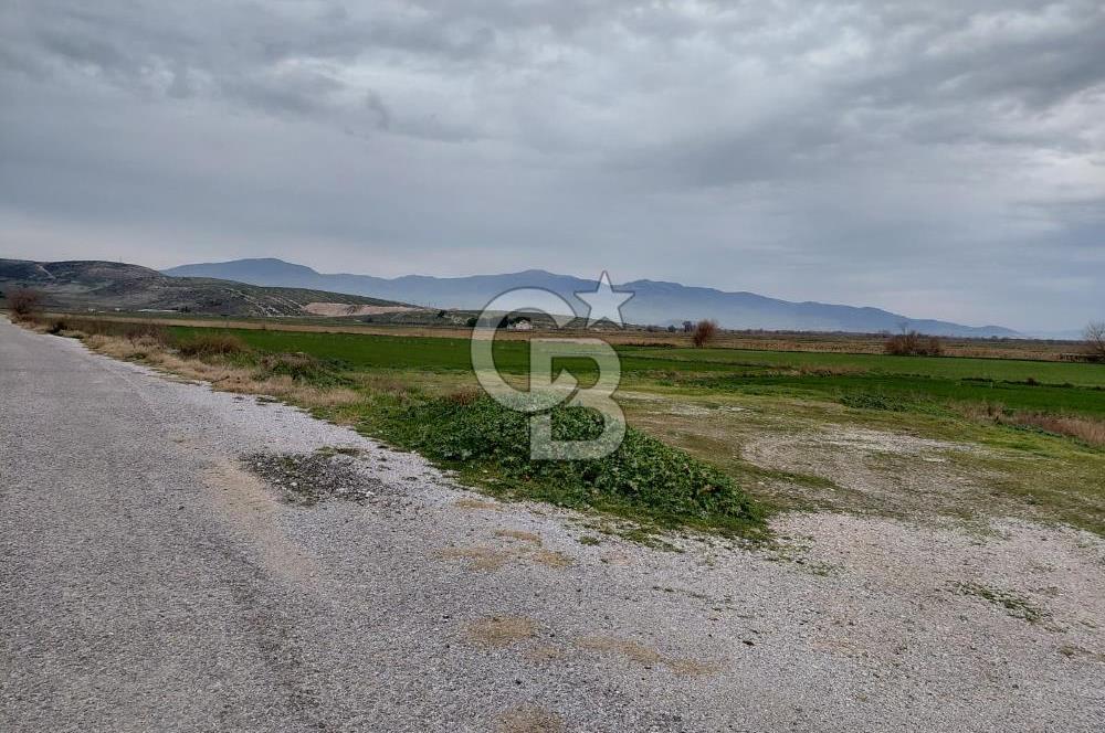 Foça Gerenköy'de Yola Cepheli Tarla Fırsatı !