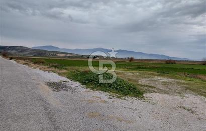 Foça Gerenköy'de Yola Cepheli Tarla Fırsatı !