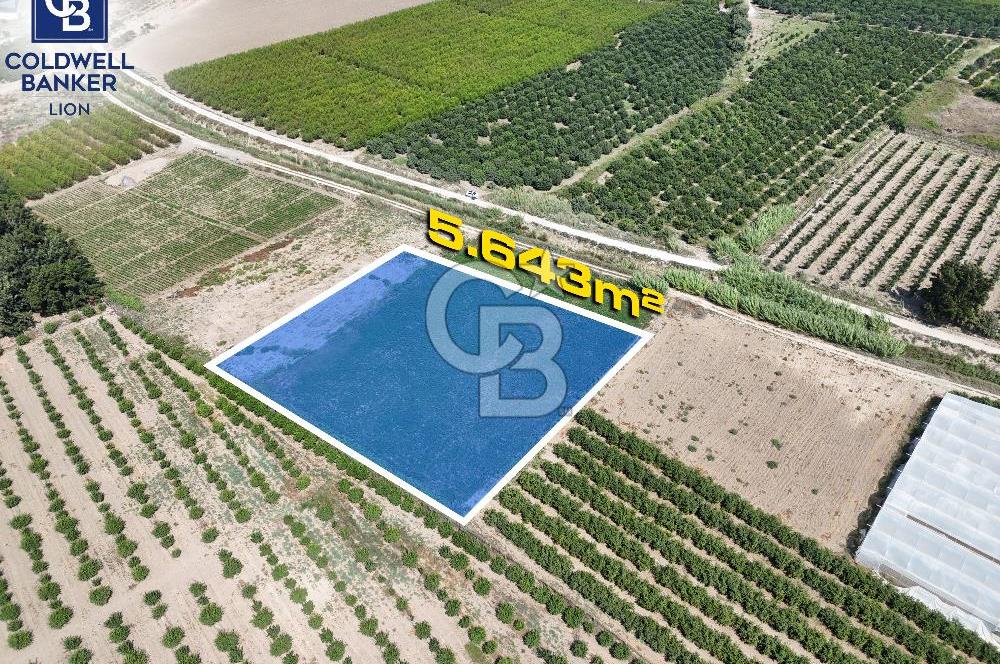 Mersin Akdeniz Evci Mahallesinde 5643 m2 Yatırımlık Arazi