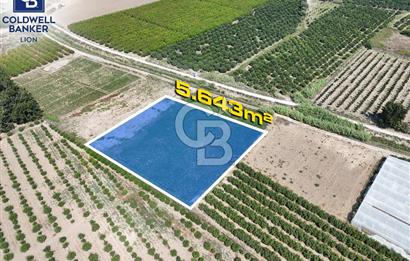 Mersin Akdeniz Evci Mahallesinde 5643 m2 Yatırımlık Arazi