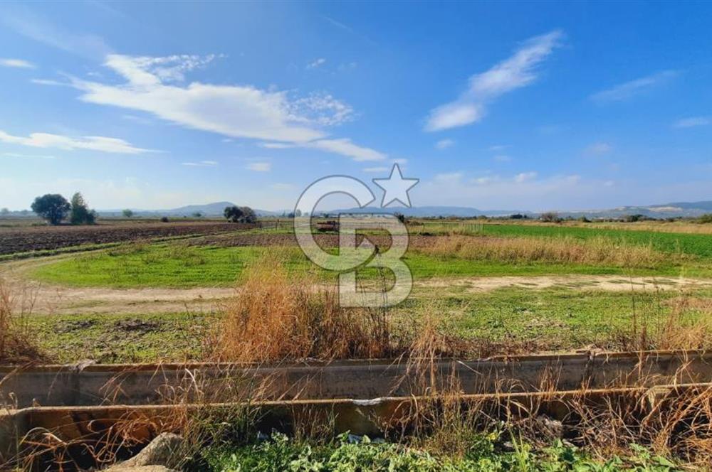 Foça Gerenköy'de Kemal Atatürk mah. Paylı Mülkiyet Tapulu Tarla