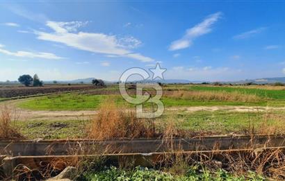 Foça Gerenköy'de Kemal Atatürk mah. Paylı Mülkiyet Tapulu Tarla