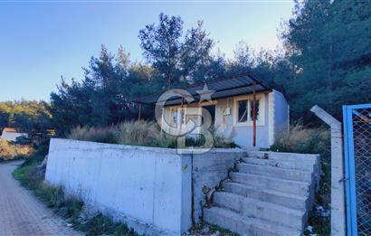 Çiçekliköy Merkezde Satılık Müstakil Tapulu Parsel