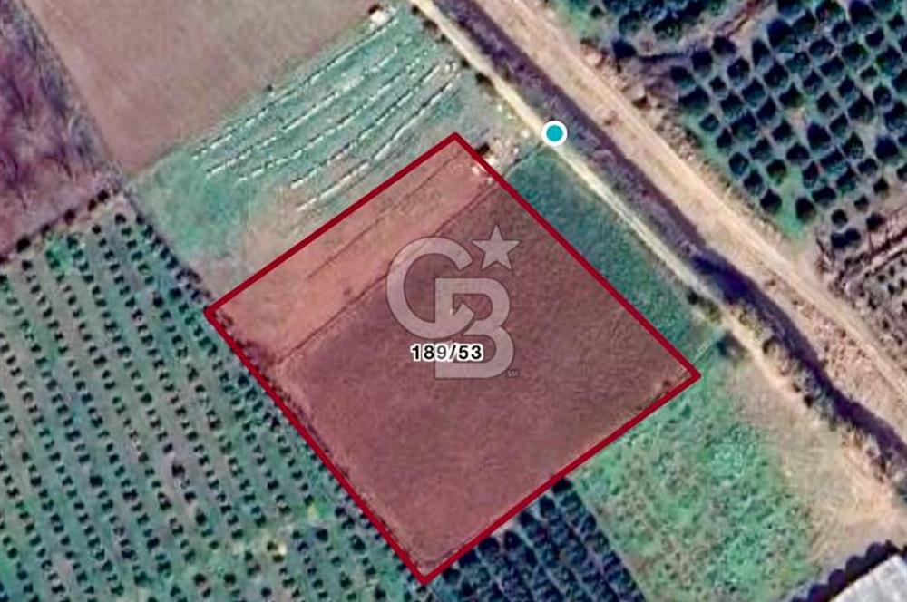 Mersin Akdeniz Evci Mahallesinde 5643 m2 Yatırımlık Arazi