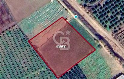 Mersin Akdeniz Evci Mahallesinde 5643 m2 Yatırımlık Arazi