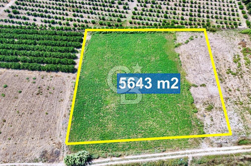 Mersin Akdeniz Evci Mahallesinde 5643 m2 Yatırımlık Arazi