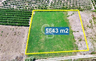 Mersin Akdeniz Evci Mahallesinde 5643 m2 Yatırımlık Arazi