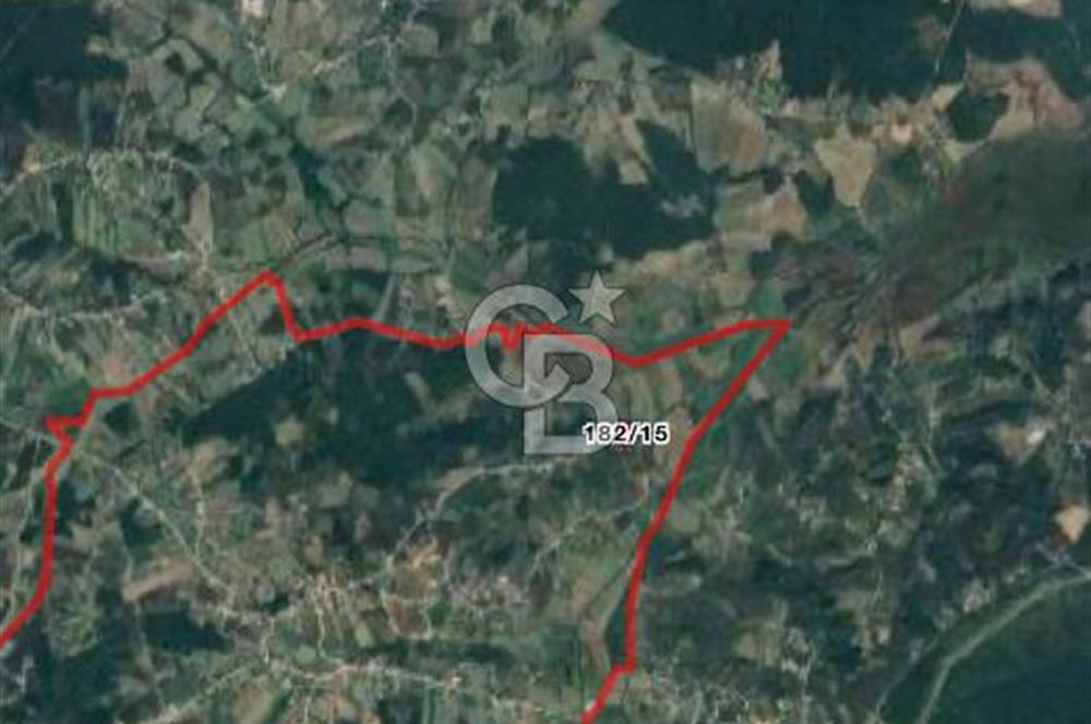 Kandıra Karaağaç satılık 