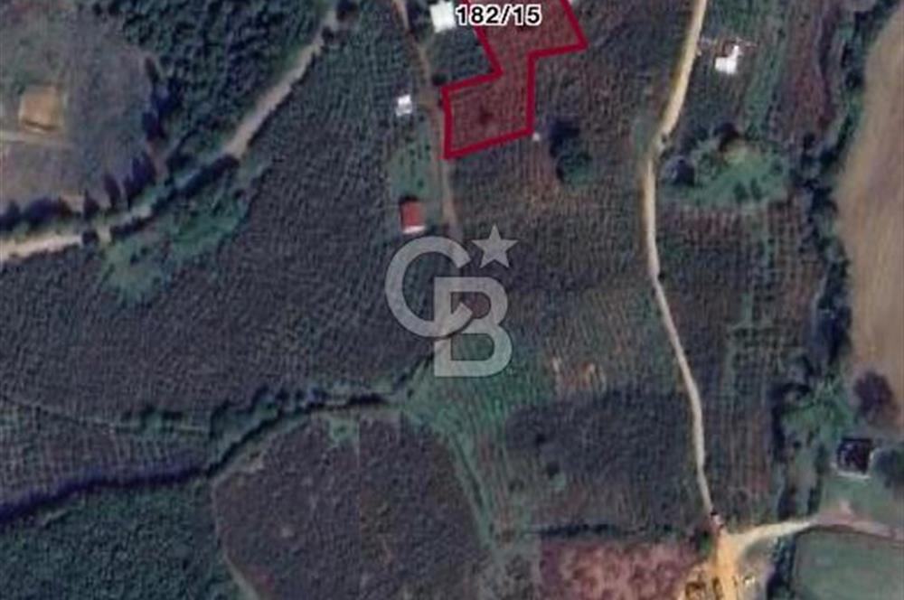 Kandıra Karaağaç satılık 