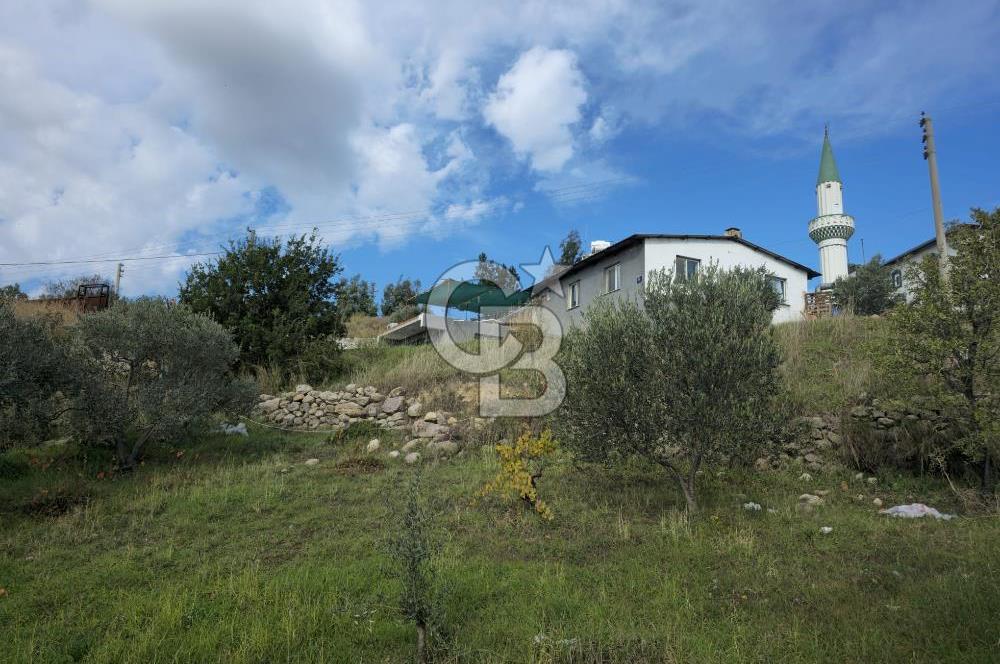 GAZİEMİR SEVGİ MAHALLESİNDE 500M2 TARLA