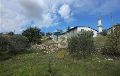 GAZİEMİR SEVGİ MAHALLESİNDE 500M2 TARLA