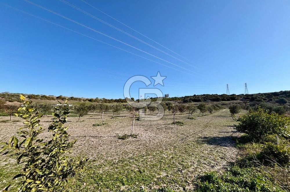 ALAÇATI'DA 20.204 M2 TARLA İÇERİSİNDE ORJİNAL TAŞ 3+1 ÇİFTLİK