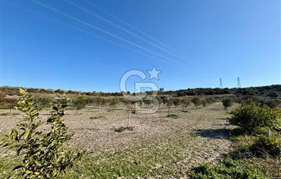 ALAÇATI'DA 20.204 M2 TARLA İÇERİSİNDE ORJİNAL TAŞ 3+1 ÇİFTLİK