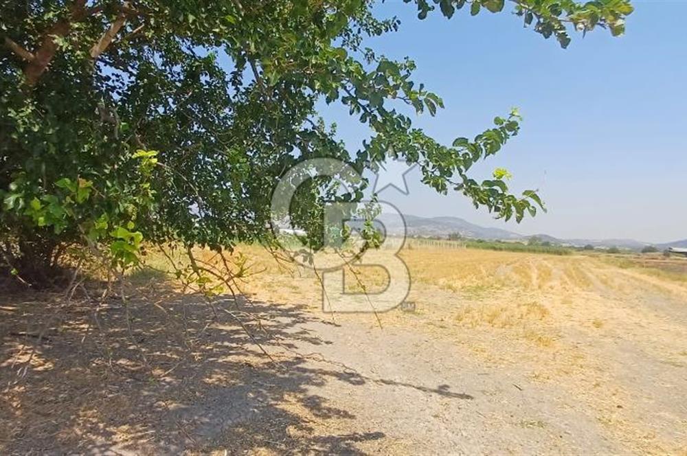 Foça Kemal Atatürk mah. Büyük Parsel Fırsatı