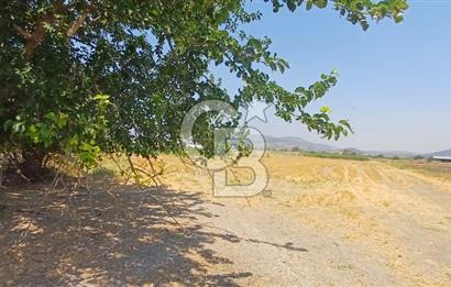 Foça Kemal Atatürk mah. Büyük Parsel Fırsatı