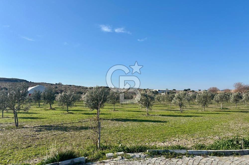 ALAÇATI'DA 20.204 M2 TARLA İÇERİSİNDE ORJİNAL TAŞ 3+1 ÇİFTLİK