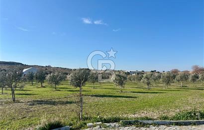 ALAÇATI'DA 20.204 M2 TARLA İÇERİSİNDE ORJİNAL TAŞ 3+1 ÇİFTLİK