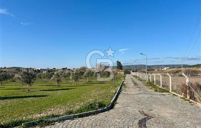 ALAÇATI'DA 20.204 M2 TARLA İÇERİSİNDE ORJİNAL TAŞ 3+1 ÇİFTLİK