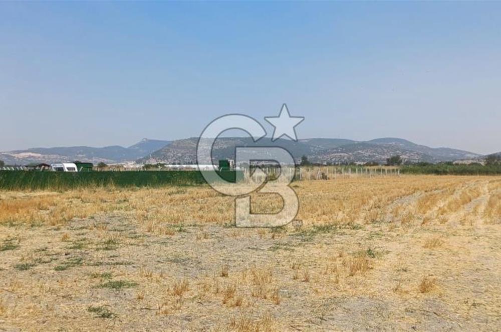 Foça Kemal Atatürk mah. Büyük Parsel Fırsatı