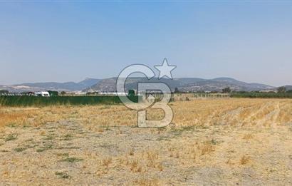 Foça Kemal Atatürk mah. Büyük Parsel Fırsatı