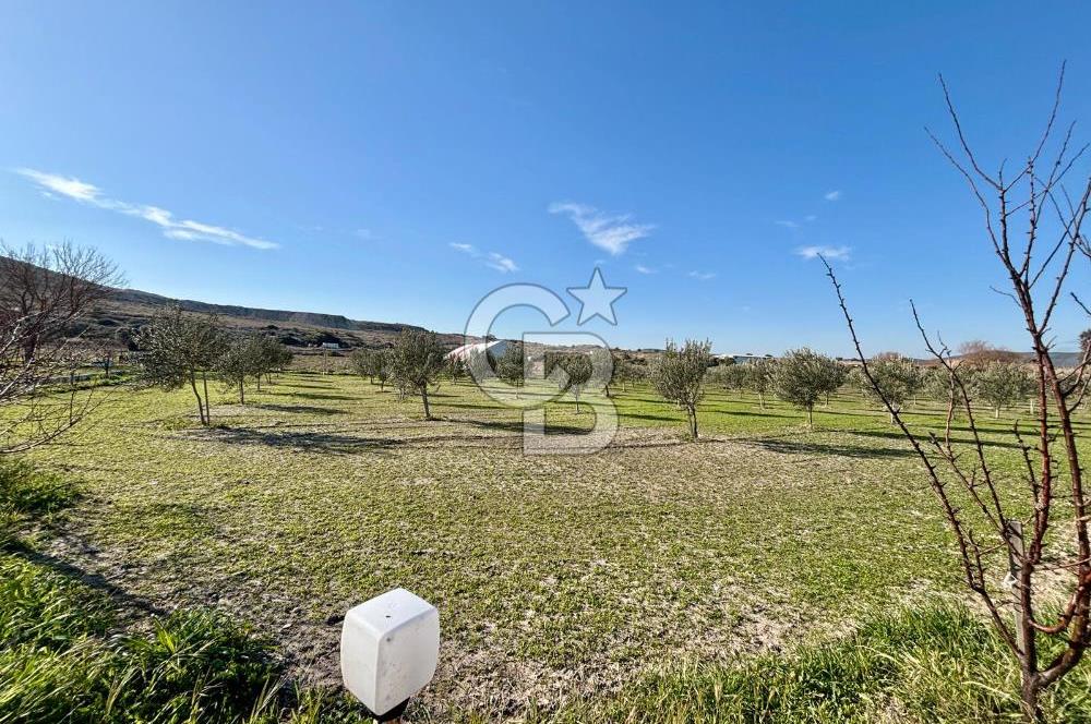 ALAÇATI'DA 20.204 M2 TARLA İÇERİSİNDE ORJİNAL TAŞ 3+1 ÇİFTLİK