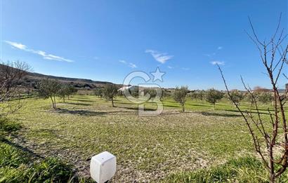 ALAÇATI'DA 20.204 M2 TARLA İÇERİSİNDE ORJİNAL TAŞ 3+1 ÇİFTLİK