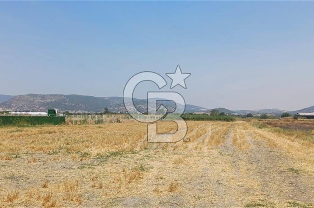 Foça Kemal Atatürk mah. Büyük Parsel Fırsatı