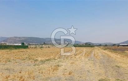 Foça Kemal Atatürk mah. Büyük Parsel Fırsatı