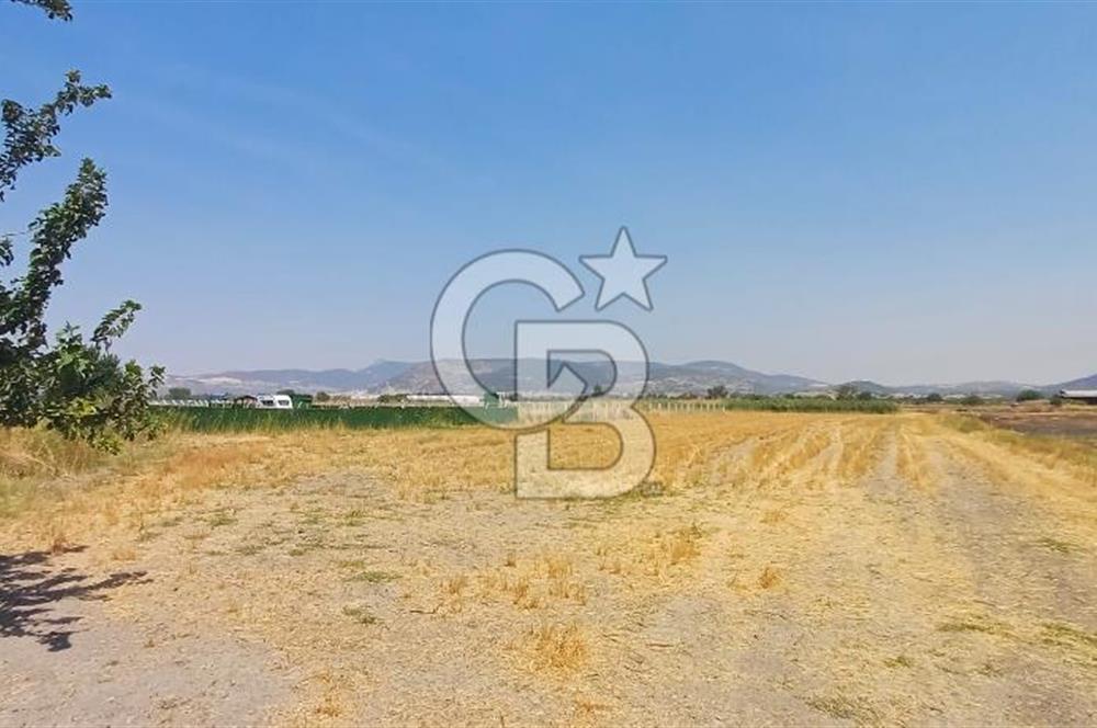 Foça Kemal Atatürk mah. Büyük Parsel Fırsatı