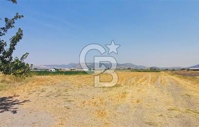 Foça Kemal Atatürk mah. Büyük Parsel Fırsatı