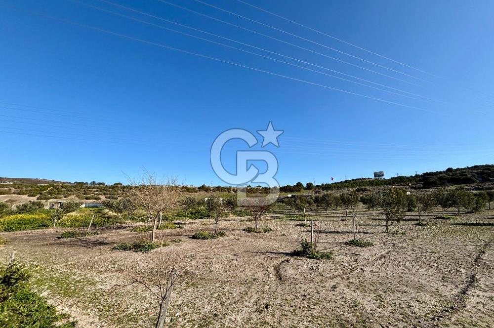 ALAÇATI'DA 20.204 M2 TARLA İÇERİSİNDE ORJİNAL TAŞ 3+1 ÇİFTLİK