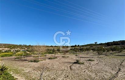 ALAÇATI'DA 20.204 M2 TARLA İÇERİSİNDE ORJİNAL TAŞ 3+1 ÇİFTLİK