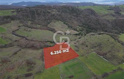 ÇANAKKALE ÇAN BOSTANDERE SATILIK 6.250 M2 CEVİZLİK