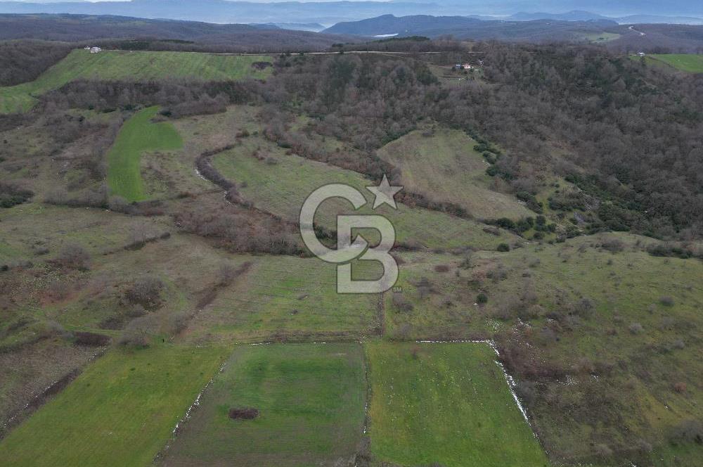 ÇANAKKALE ÇAN BOSTANDERE SATILIK 6.250 M2 CEVİZLİK
