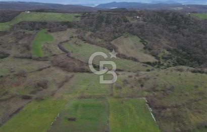 ÇANAKKALE ÇAN BOSTANDERE SATILIK 6.250 M2 CEVİZLİK