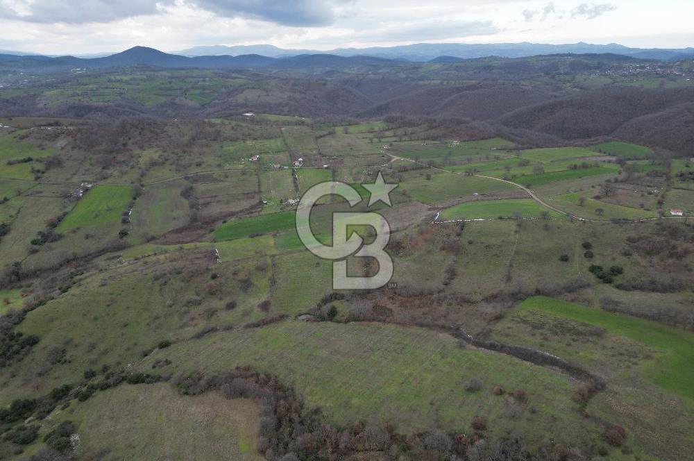 ÇANAKKALE ÇAN BOSTANDERE SATILIK 6.250 M2 CEVİZLİK