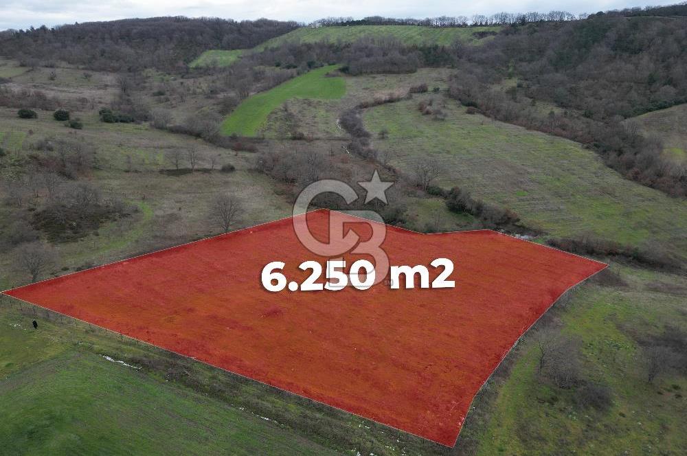 ÇANAKKALE ÇAN BOSTANDERE SATILIK 6.250 M2 CEVİZLİK