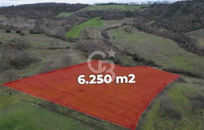 ÇANAKKALE ÇAN BOSTANDERE SATILIK 6.250 M2 CEVİZLİK