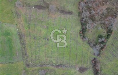 ÇANAKKALE ÇAN BOSTANDERE SATILIK 6.250 M2 CEVİZLİK