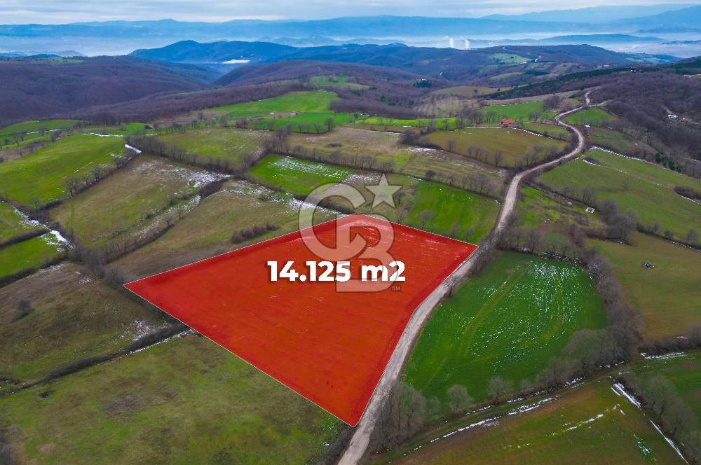 ÇANAKKALE ÇAN BOSTANDERE SATLIK CEVİZLİK 14.125 M2