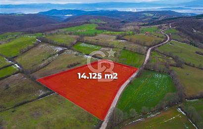 ÇANAKKALE ÇAN BOSTANDERE SATLIK CEVİZLİK 14.125 M2