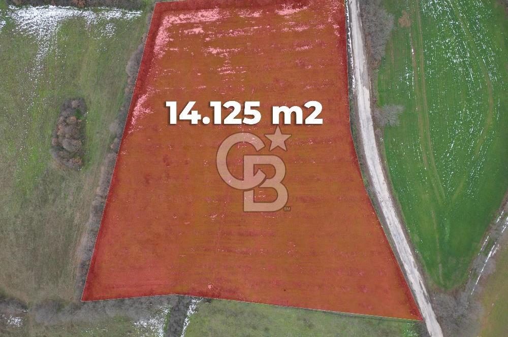 ÇANAKKALE ÇAN BOSTANDERE SATLIK CEVİZLİK 14.125 M2