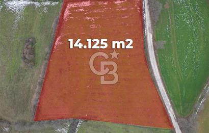 ÇANAKKALE ÇAN BOSTANDERE SATLIK CEVİZLİK 14.125 M2