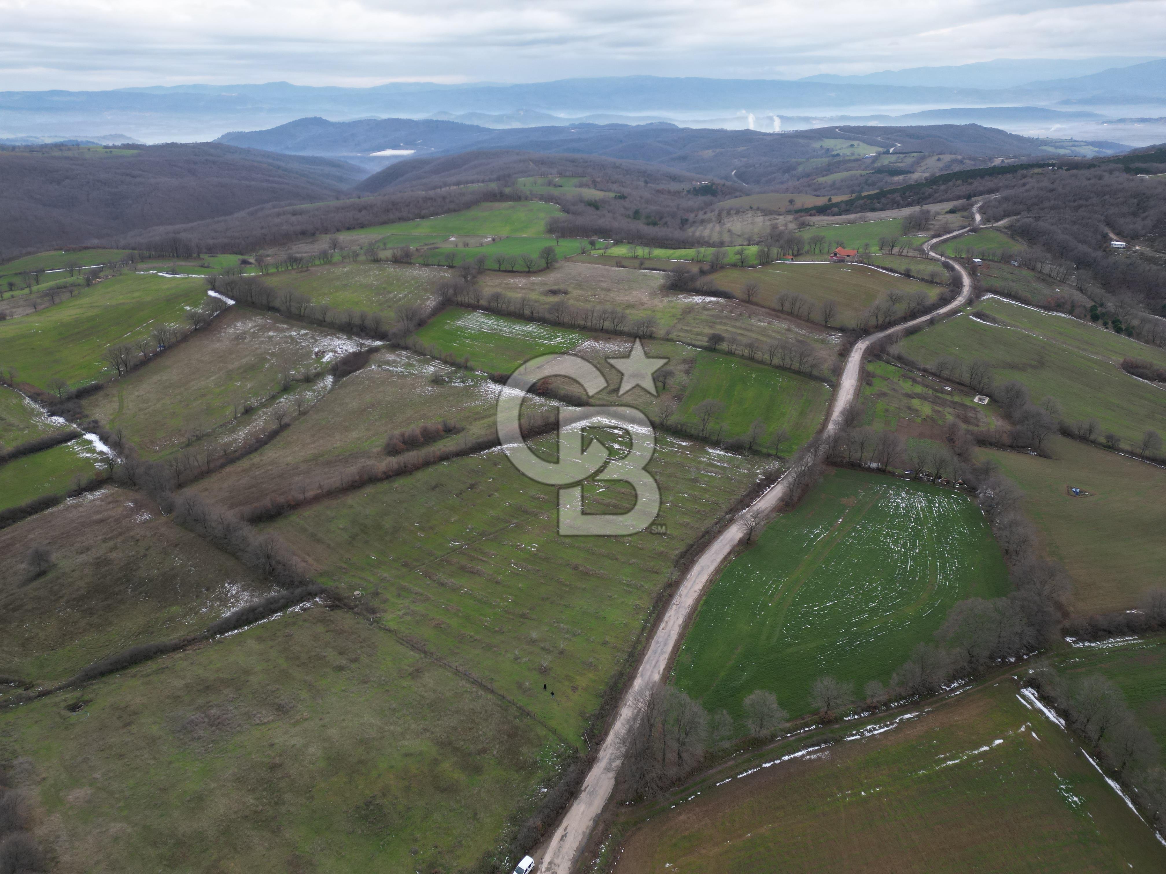 ÇANAKKALE ÇAN BOSTANDERE SATLIK CEVİZLİK 14.125 M2