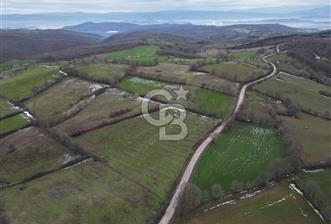 ÇANAKKALE ÇAN BOSTANDERE SATLIK CEVİZLİK 14.125 M2 - 2 - 330920