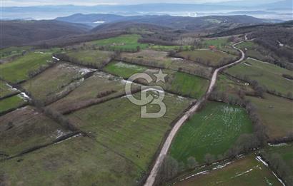 ÇANAKKALE ÇAN BOSTANDERE SATLIK CEVİZLİK 14.125 M2